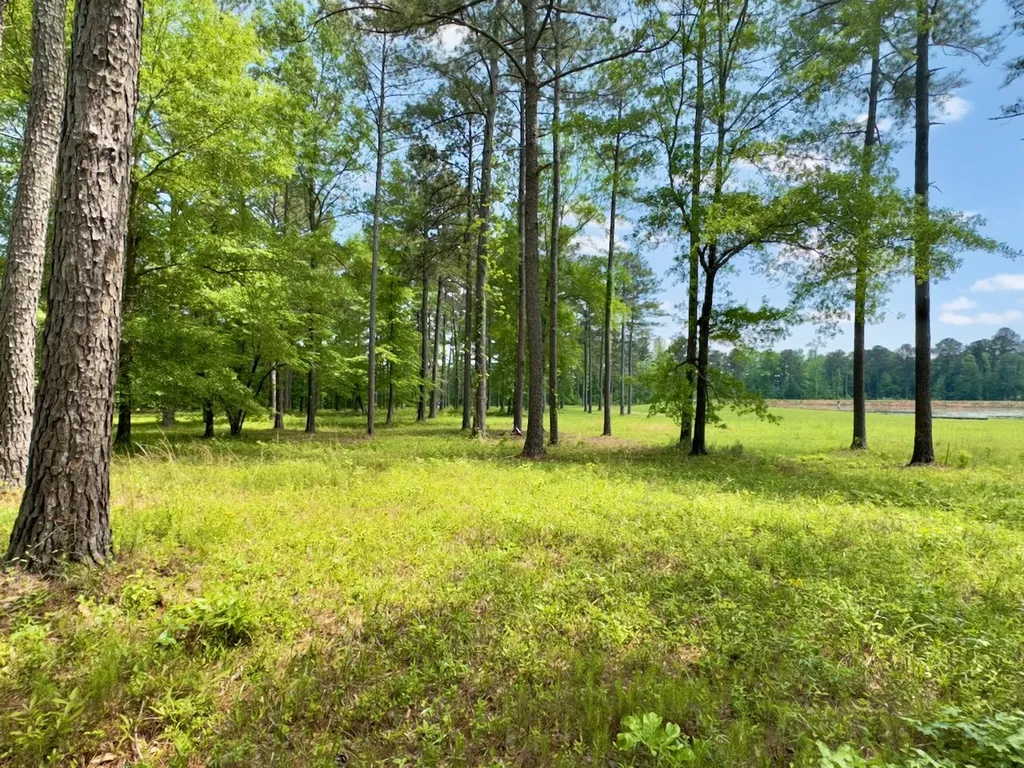 0 Highway 7 Wilsonville AL 35186