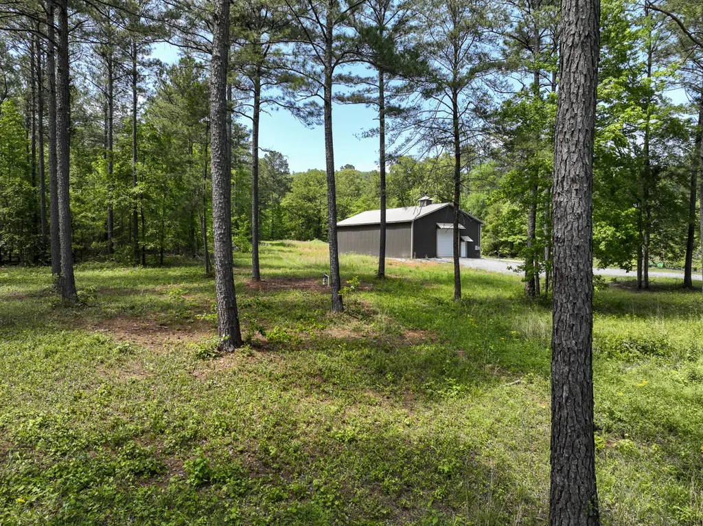 0 Highway 7 Wilsonville AL 35186