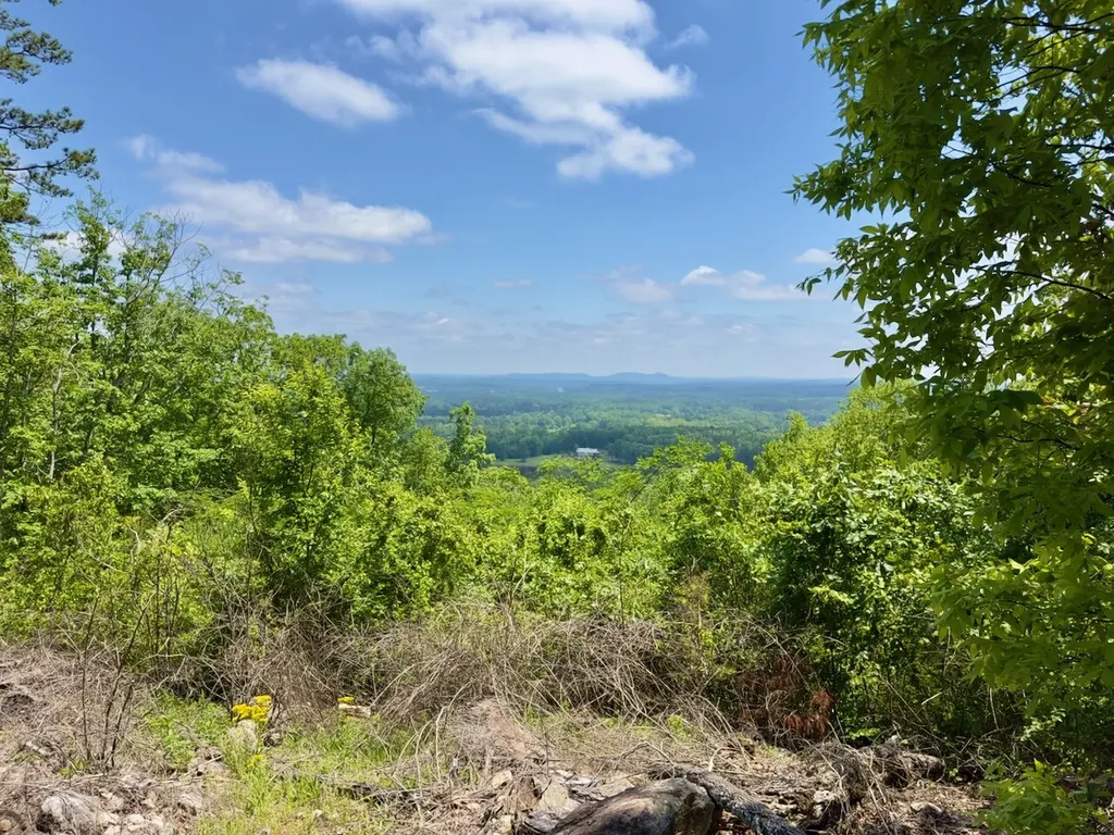 0 Highway 7 Wilsonville AL 35186