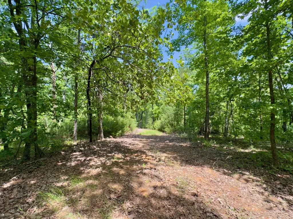 0 Highway 7 Wilsonville AL 35186