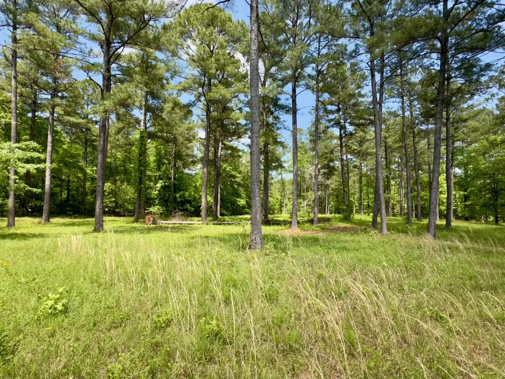 0 Highway 7 Wilsonville AL 35186