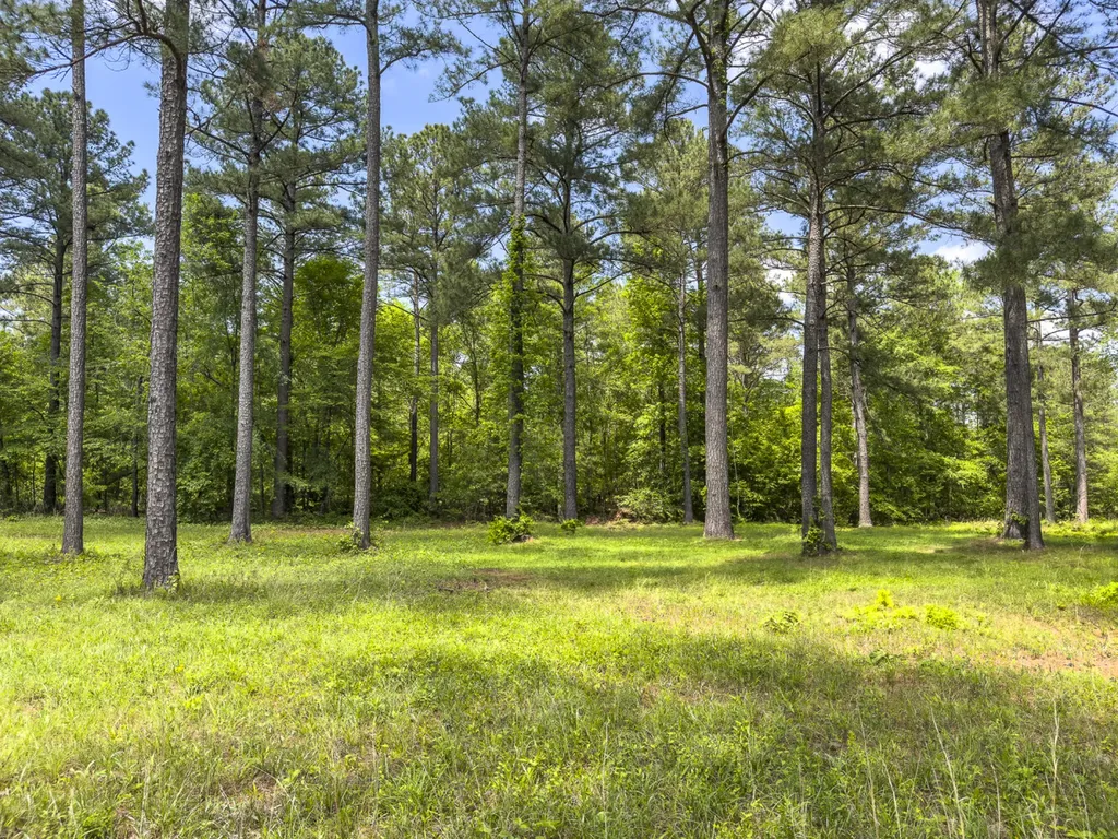 0 Highway 7 Wilsonville AL 35186