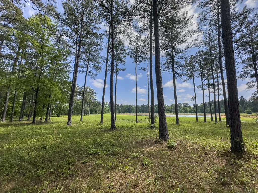 0 Highway 7 Wilsonville AL 35186