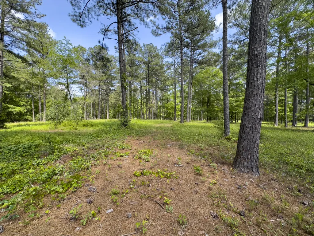 0 Highway 7 Wilsonville AL 35186