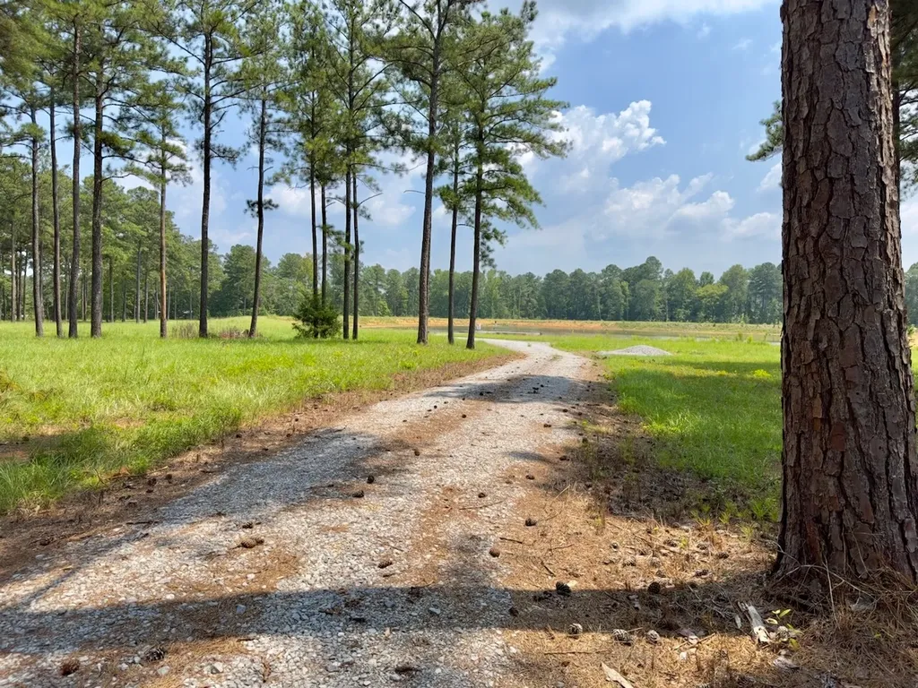 0 Highway 7 Wilsonville AL 35186