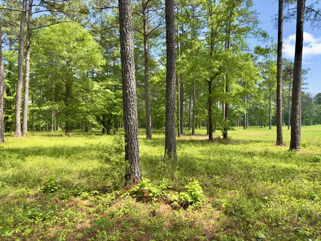 0 Highway 7 Wilsonville AL 35186