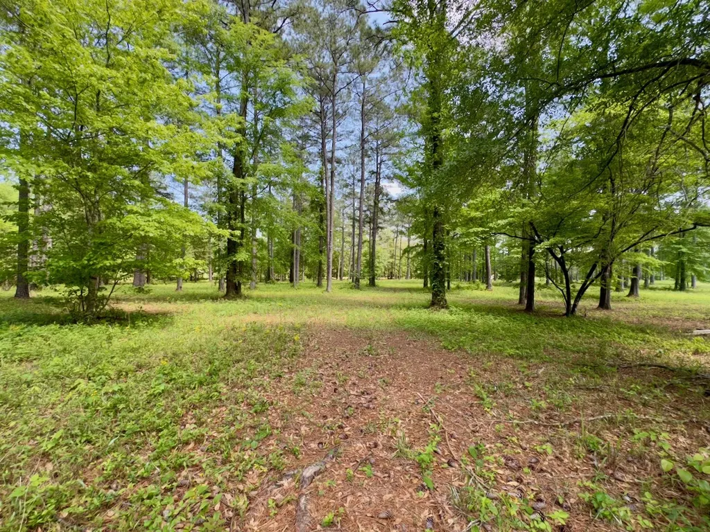 0 Highway 7 Wilsonville AL 35186