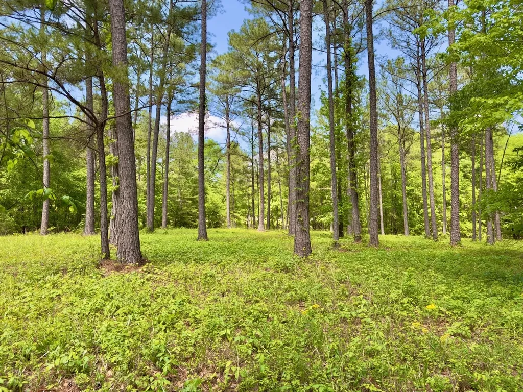 0 Highway 7 Wilsonville AL 35186