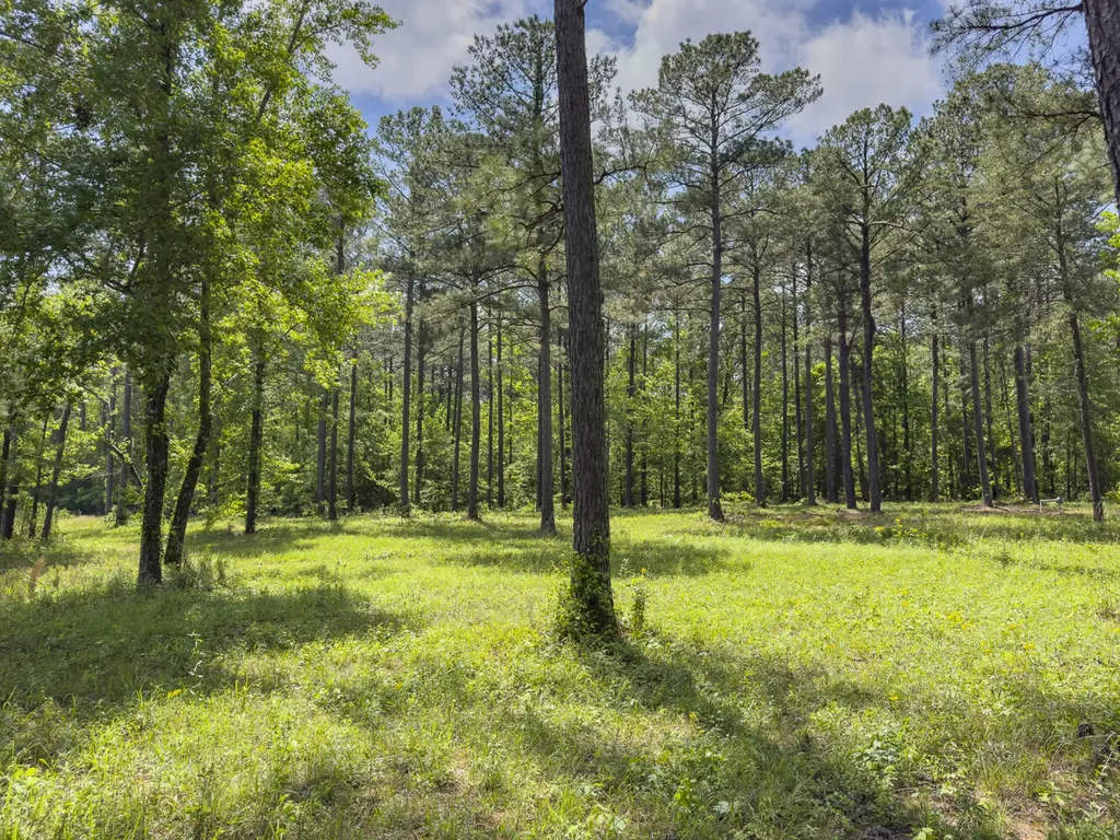 0 Highway 7 Wilsonville AL 35186