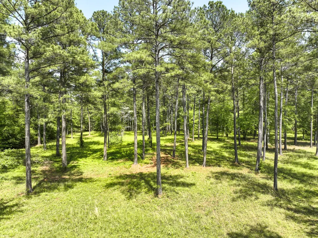 0 Highway 7 Wilsonville AL 35186