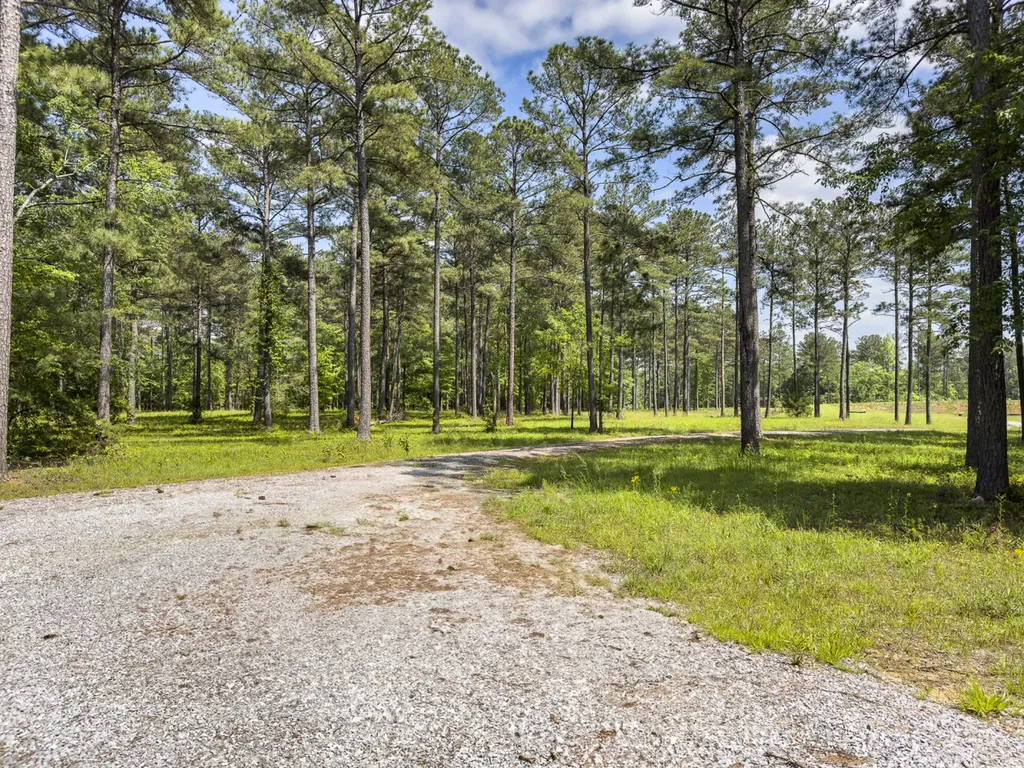 0 Highway 7 Wilsonville AL 35186