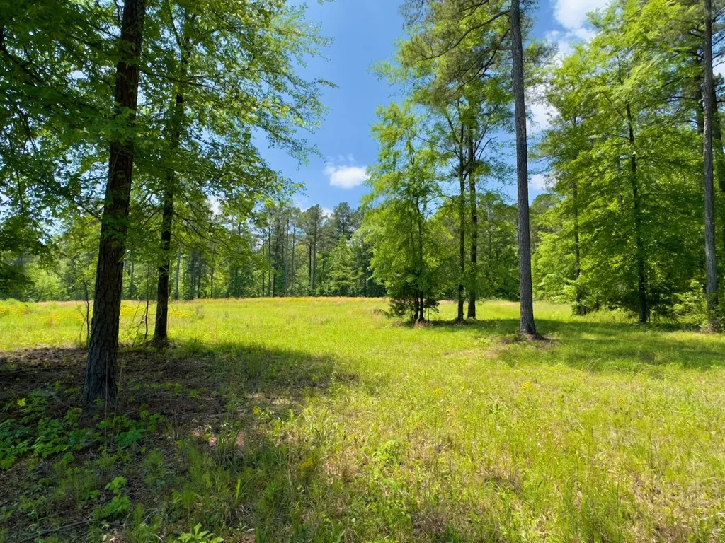 0 Highway 7 Wilsonville AL 35186