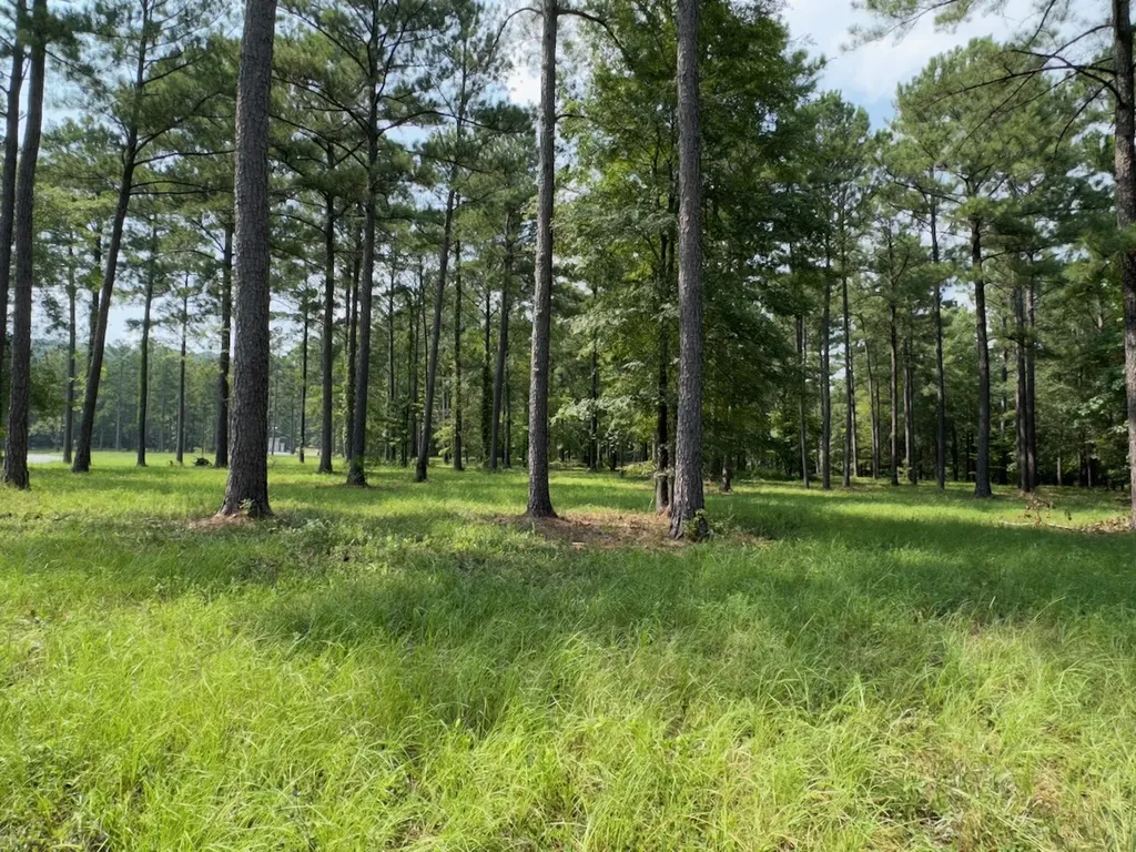 0 Highway 7 Wilsonville AL 35186