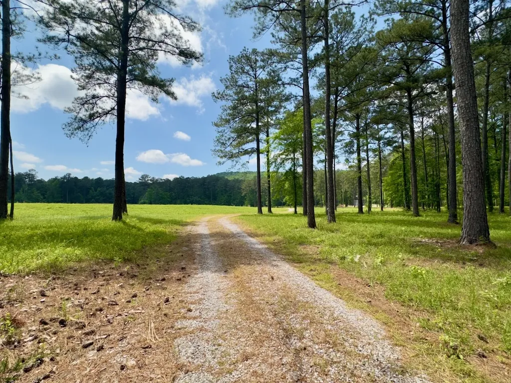 0 Highway 7 Wilsonville AL 35186