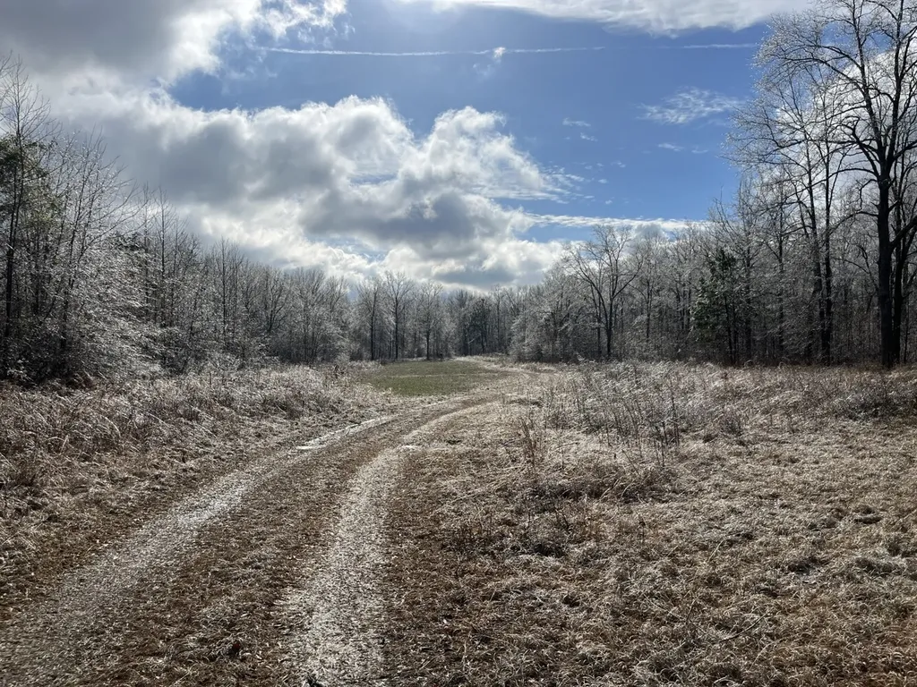 1444 Co Road 441 Wilsonville AL 35186