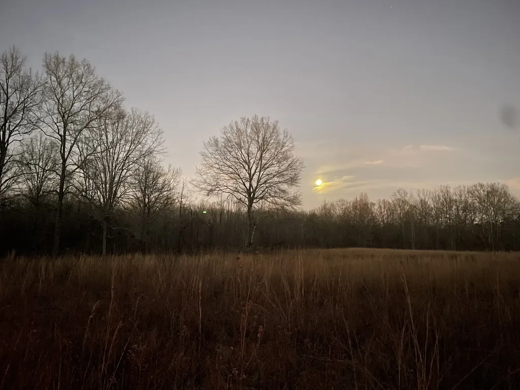 1444 Co Road 441 Wilsonville AL 35186