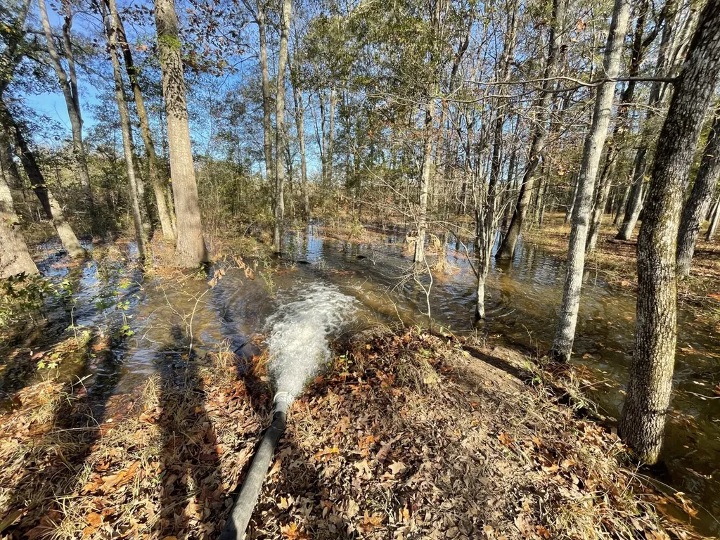 1444 Co Road 441 Wilsonville AL 35186