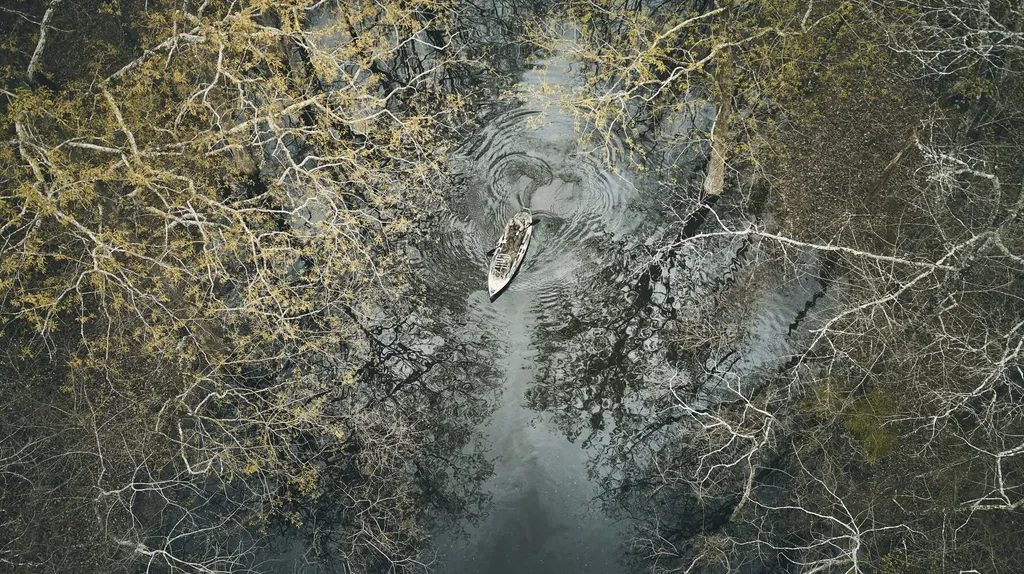 1444 Co Road 441 Wilsonville AL 35186