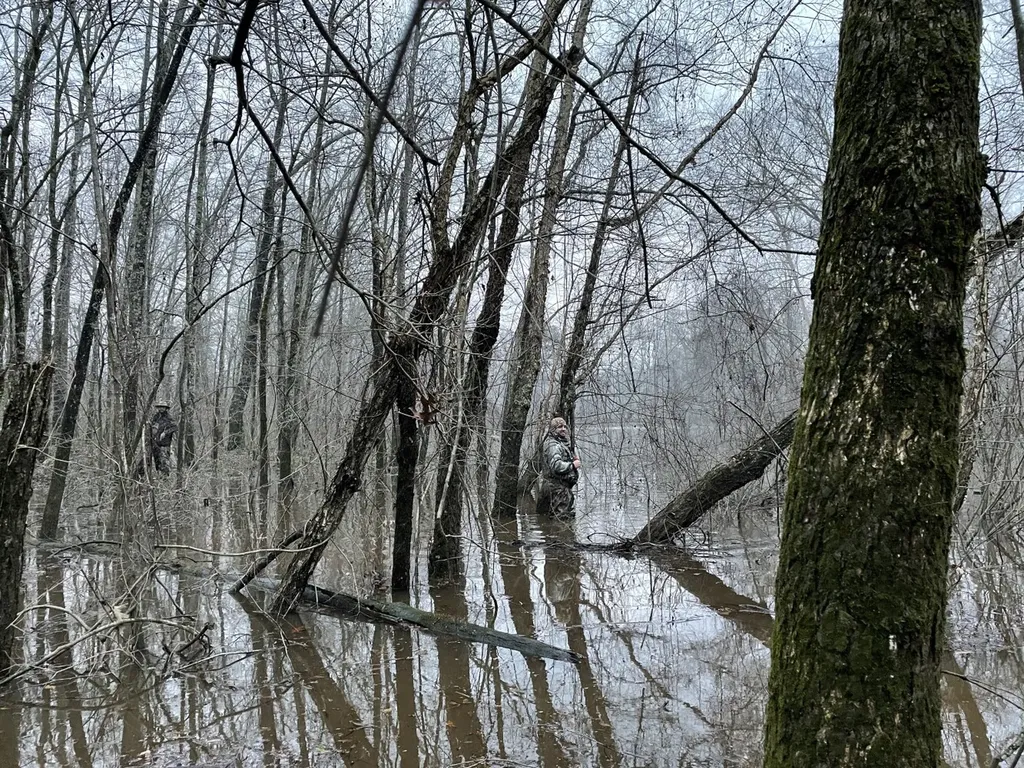 1444 Co Road 441 Wilsonville AL 35186