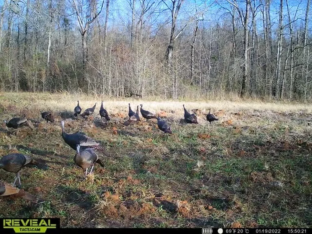 1444 Co Road 441 Wilsonville AL 35186