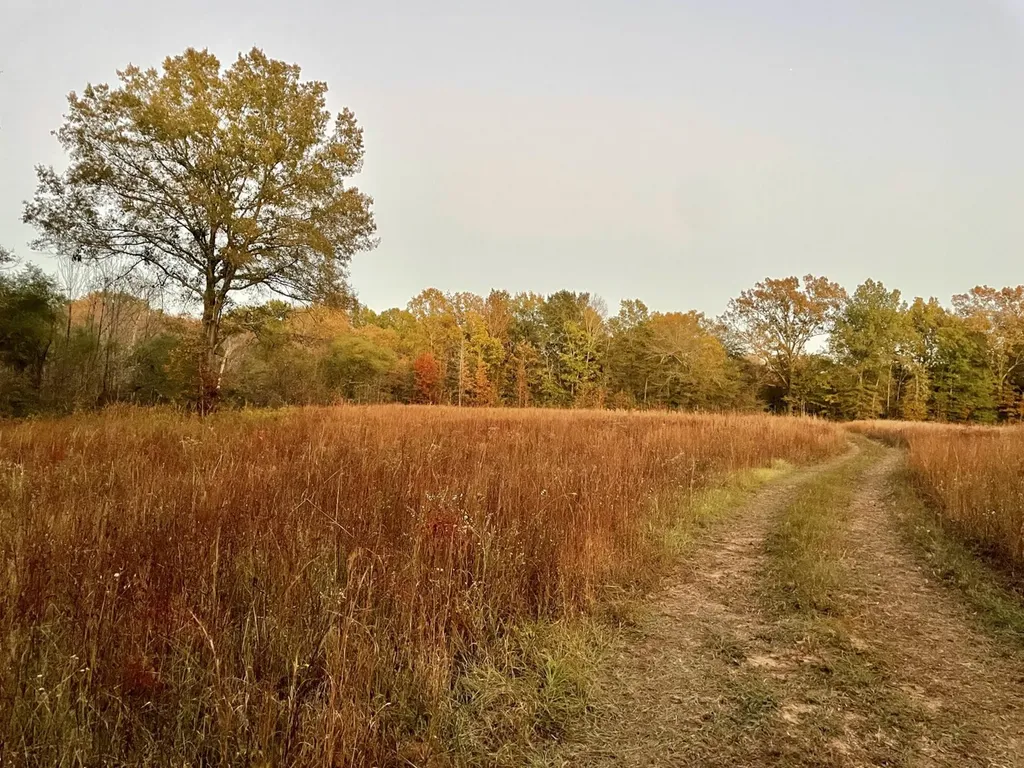 1444 Co Road 441 Wilsonville AL 35186