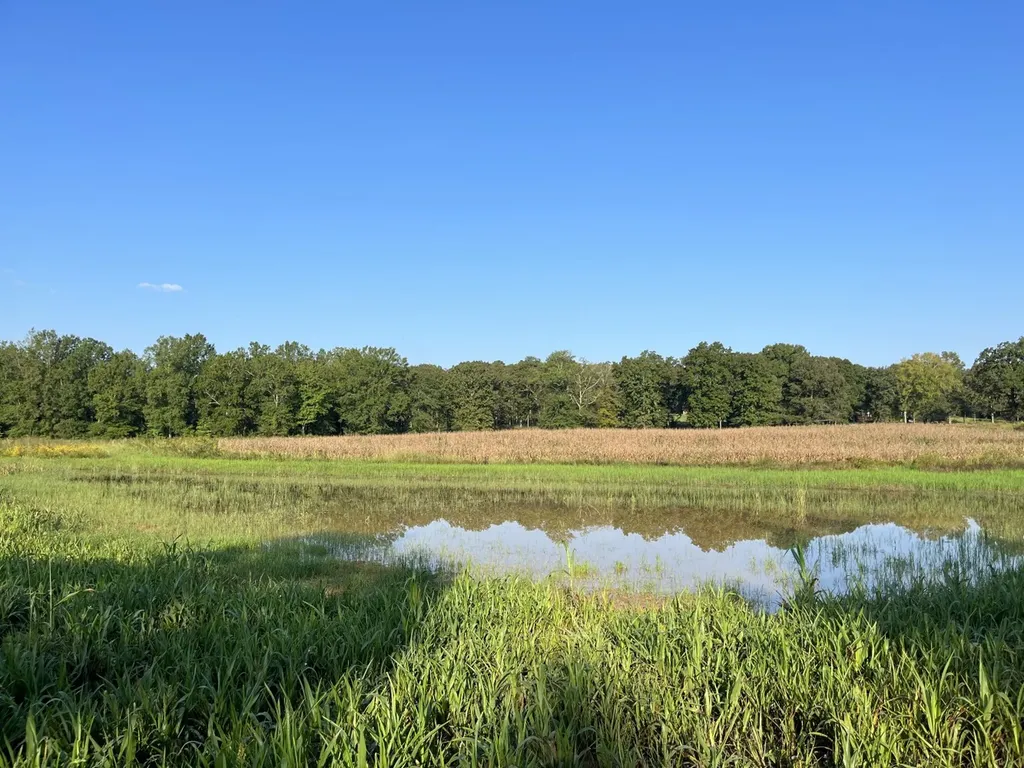 1444 Co Road 441 Wilsonville AL 35186