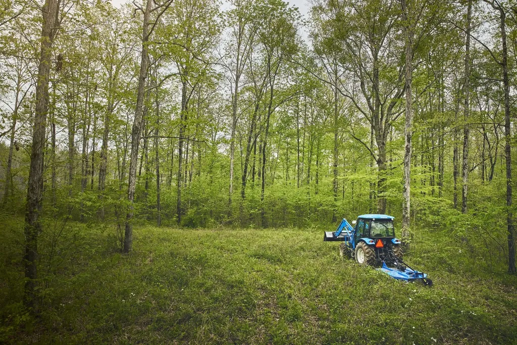 1444 Co Road 441 Wilsonville AL 35186