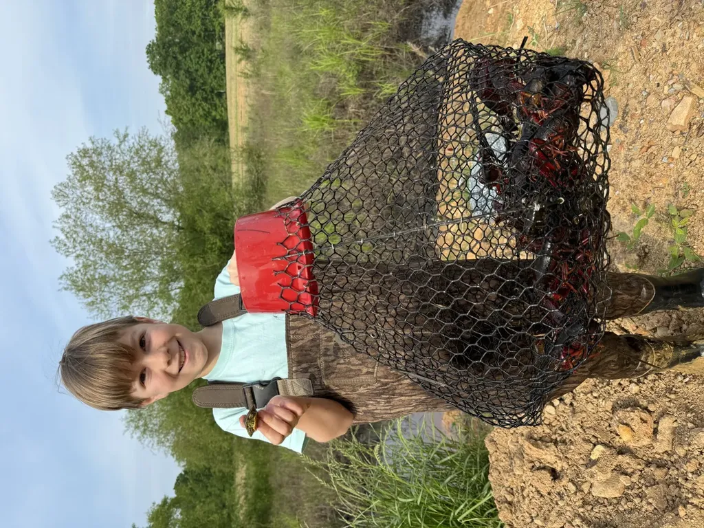 1444 Co Road 441 Wilsonville AL 35186