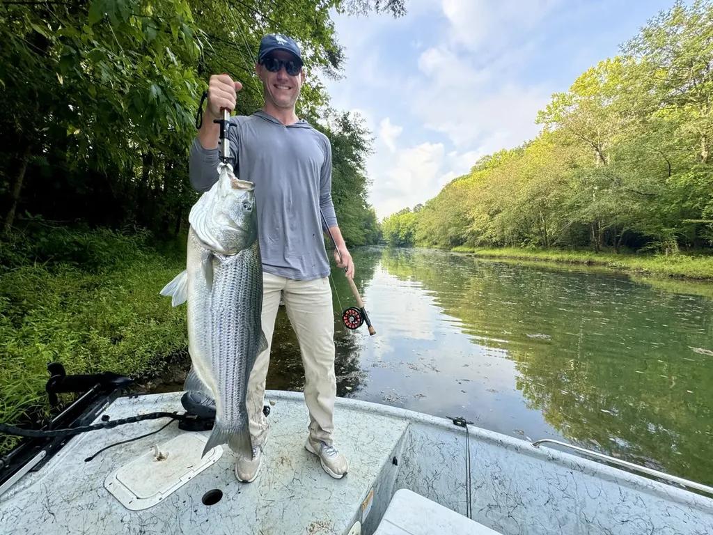 1444 Co Road 441 Wilsonville AL 35186