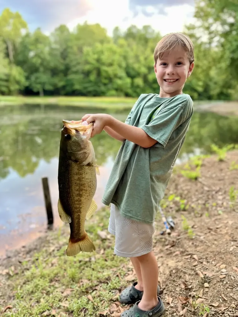 1444 Co Road 441 Wilsonville AL 35186