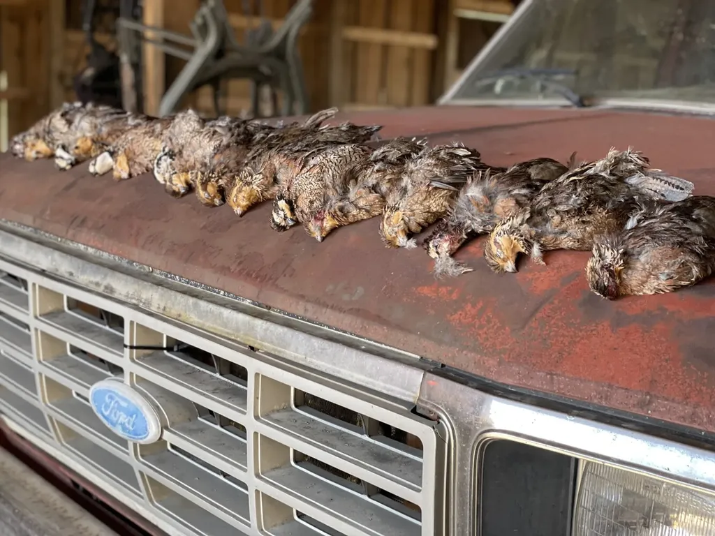 1444 Co Road 441 Wilsonville AL 35186