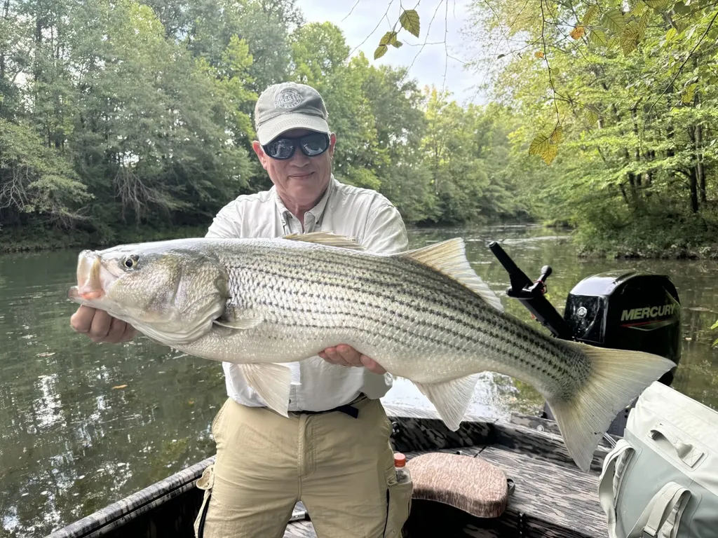 1444 Co Road 441 Wilsonville AL 35186