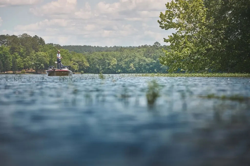 1444 Co Road 441 Wilsonville AL 35186