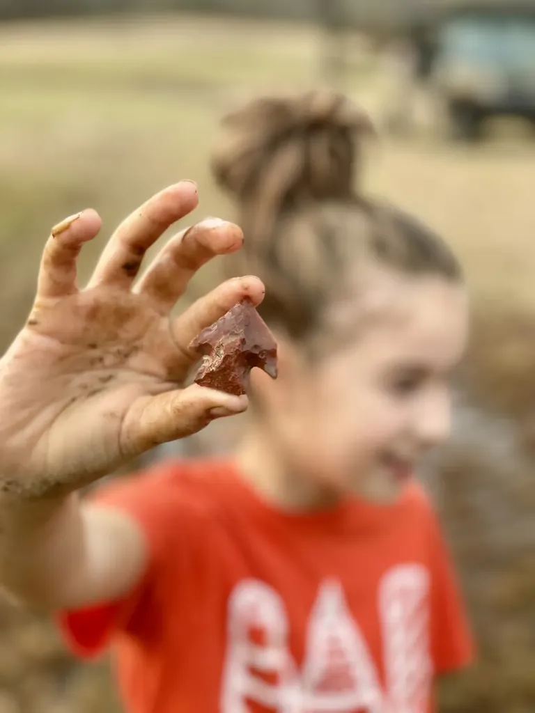 1444 Co Road 441 Wilsonville AL 35186