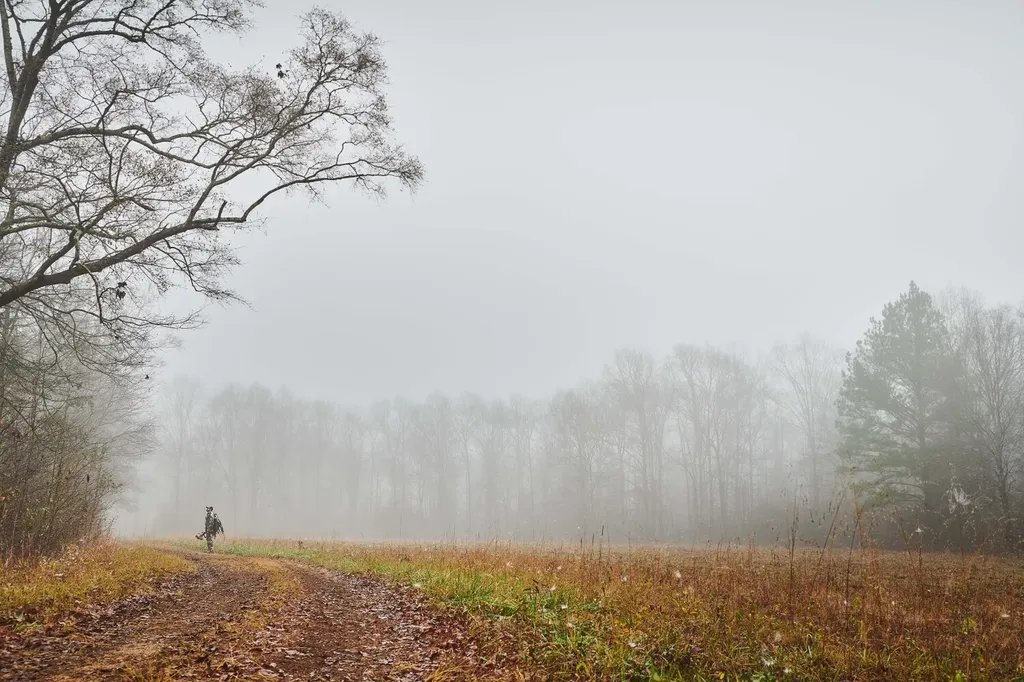 1444 Co Road 441 Wilsonville AL 35186