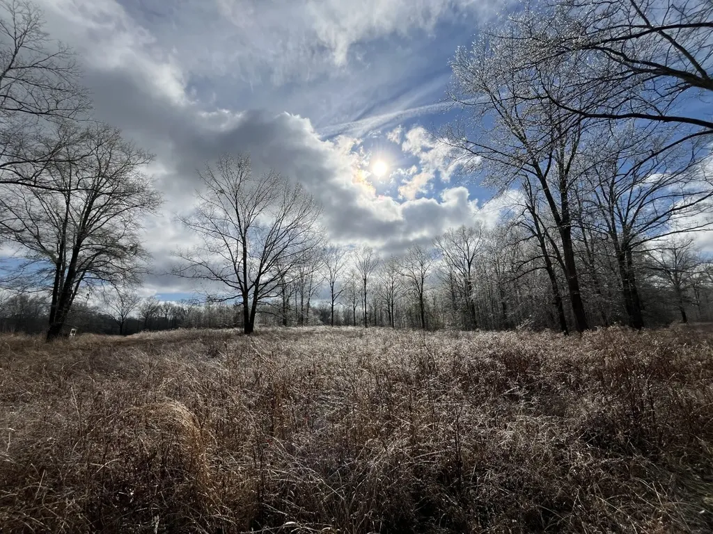 1444 Co Road 441 Wilsonville AL 35186