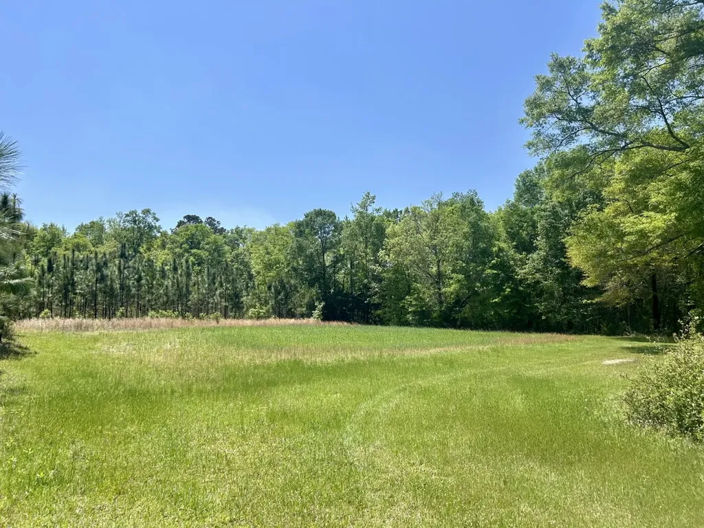 291 Pine Trail Evergreen AL 36401