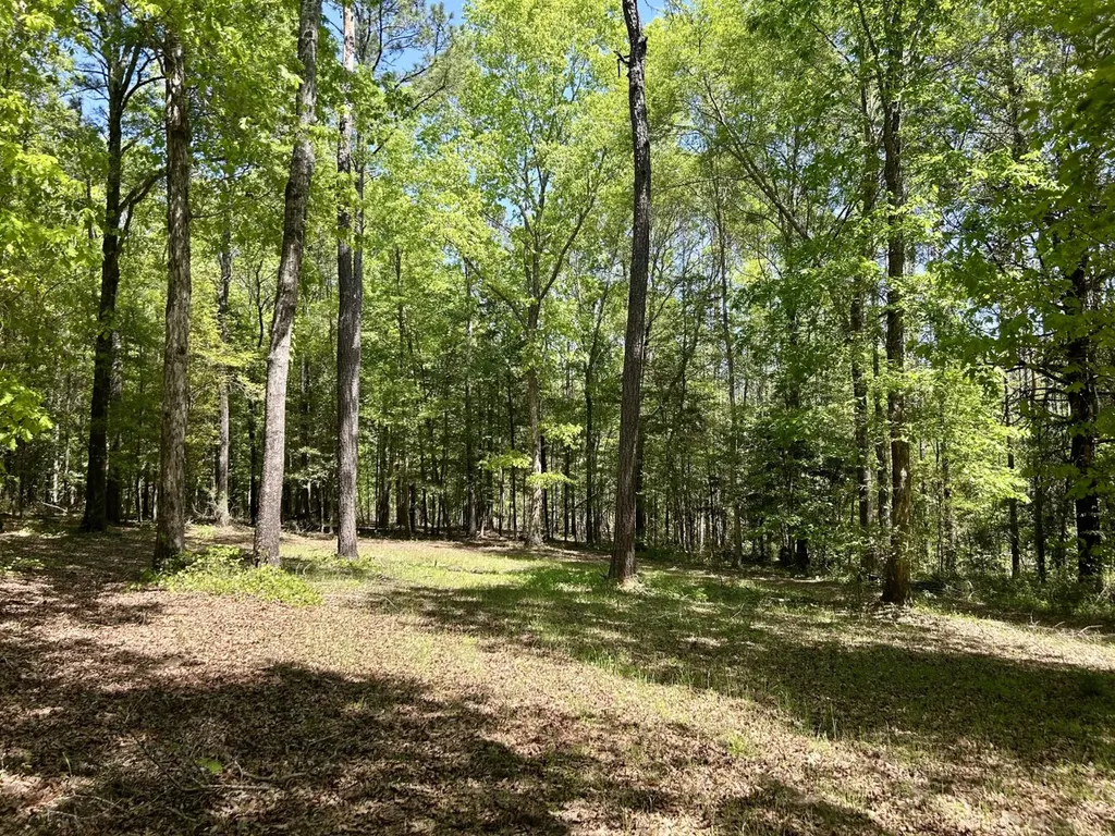 291 Pine Trail Evergreen AL 36401