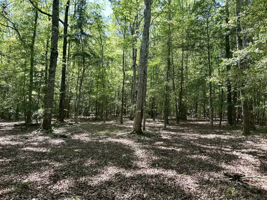 291 Pine Trail Evergreen AL 36401