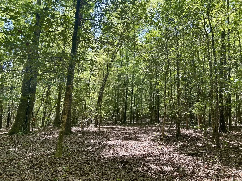 291 Pine Trail Evergreen AL 36401