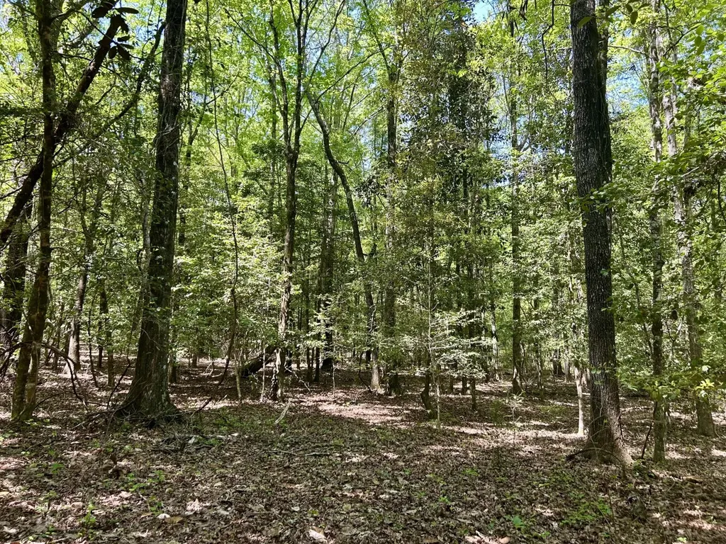 291 Pine Trail Evergreen AL 36401