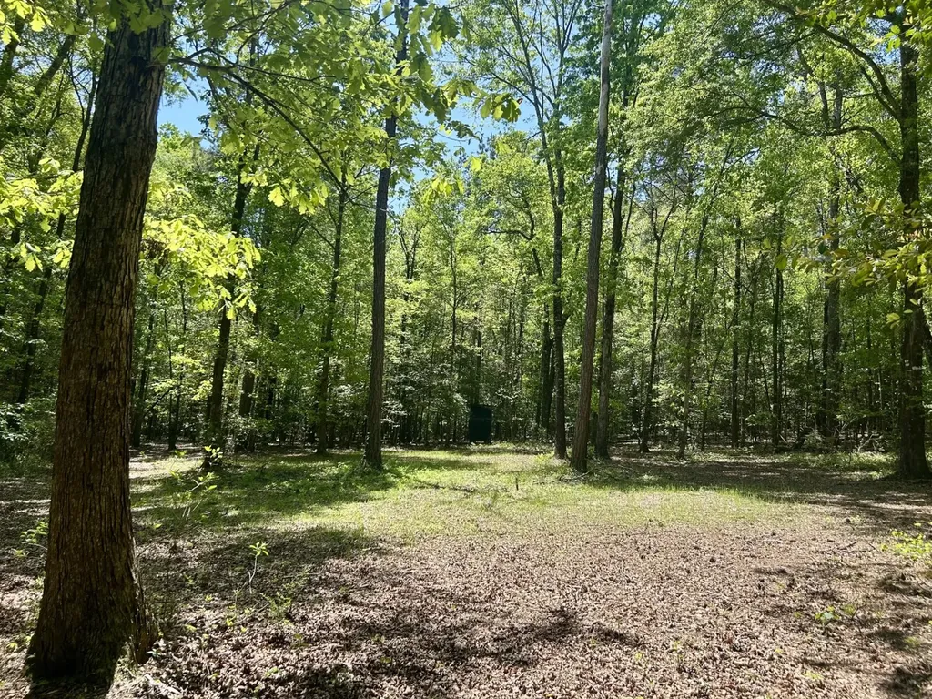 291 Pine Trail Evergreen AL 36401