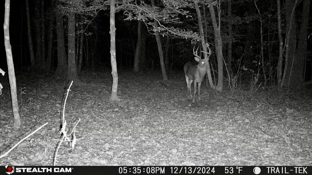 291 Pine Trail Evergreen AL 36401