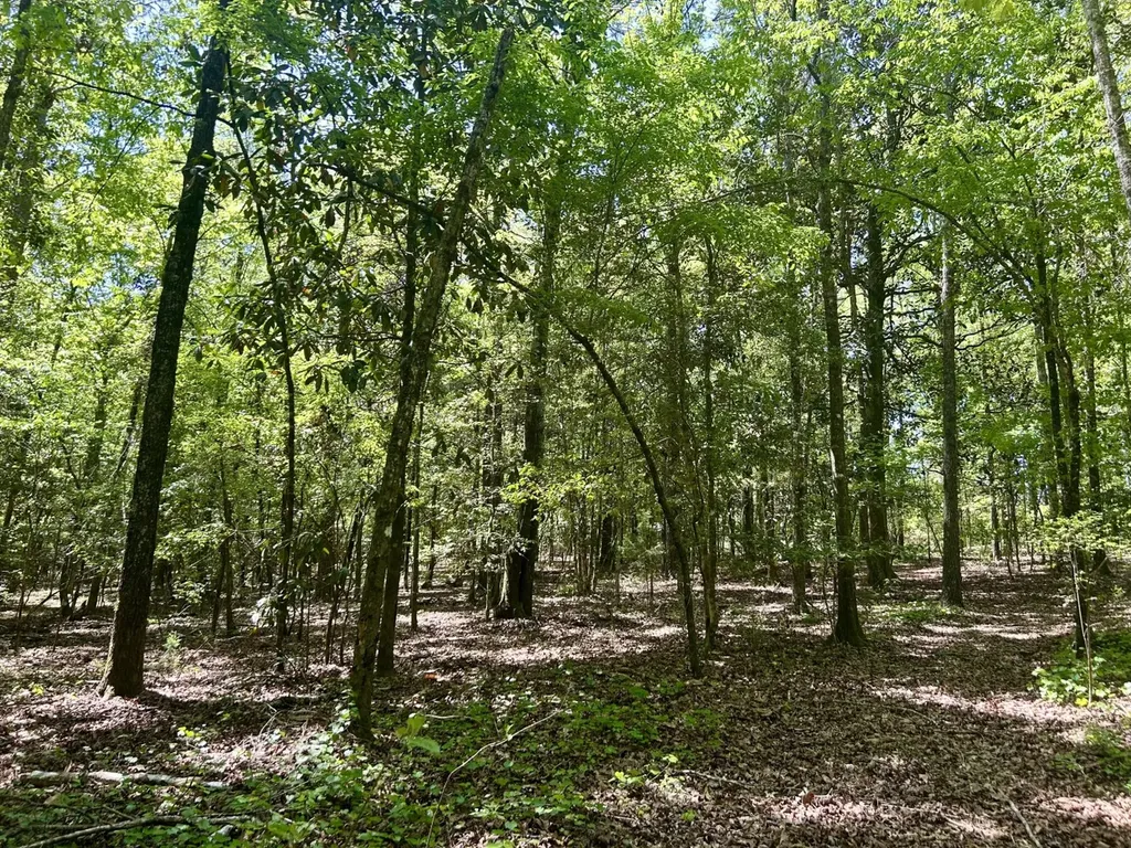 291 Pine Trail Evergreen AL 36401