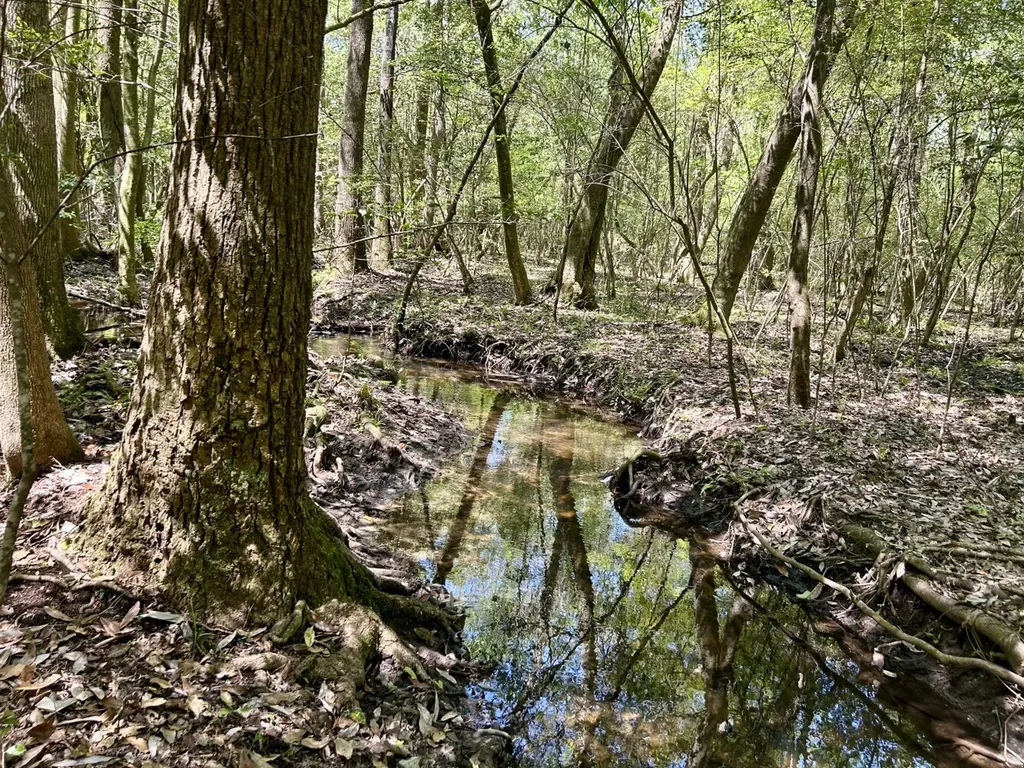 291 Pine Trail Evergreen AL 36401