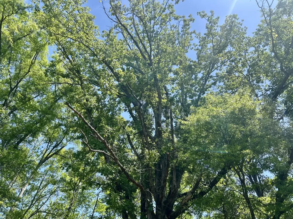 291 Pine Trail Evergreen AL 36401