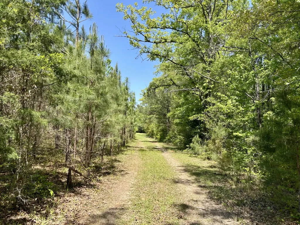 291 Pine Trail Evergreen AL 36401