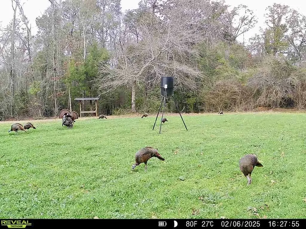 291 Pine Trail Evergreen AL 36401