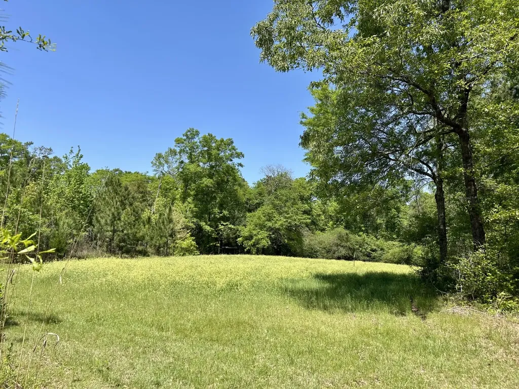 291 Pine Trail Evergreen AL 36401