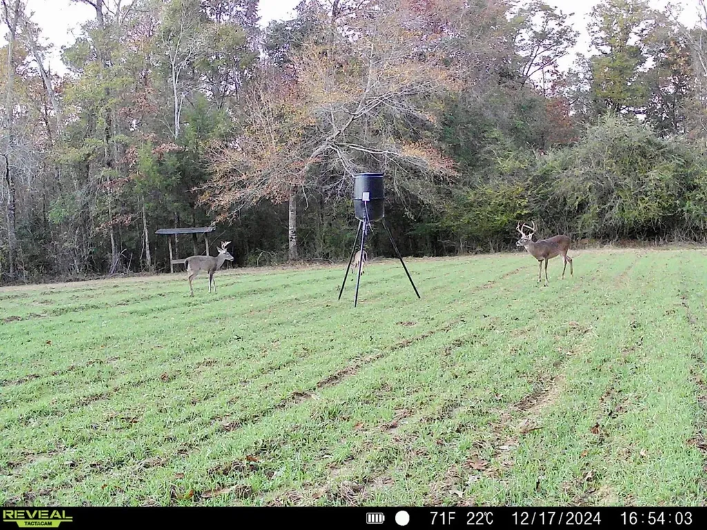 291 Pine Trail Evergreen AL 36401